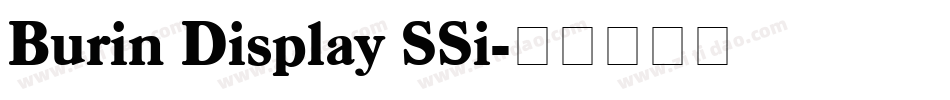 Burin Display SSi字体转换